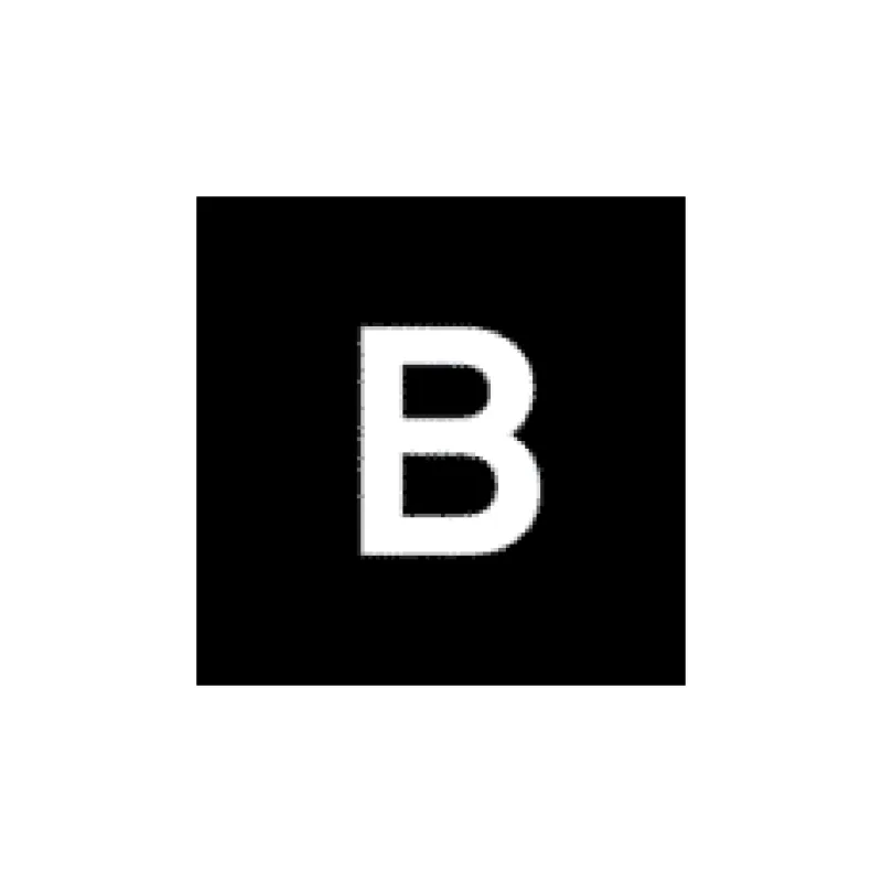 The Brand Identity logo