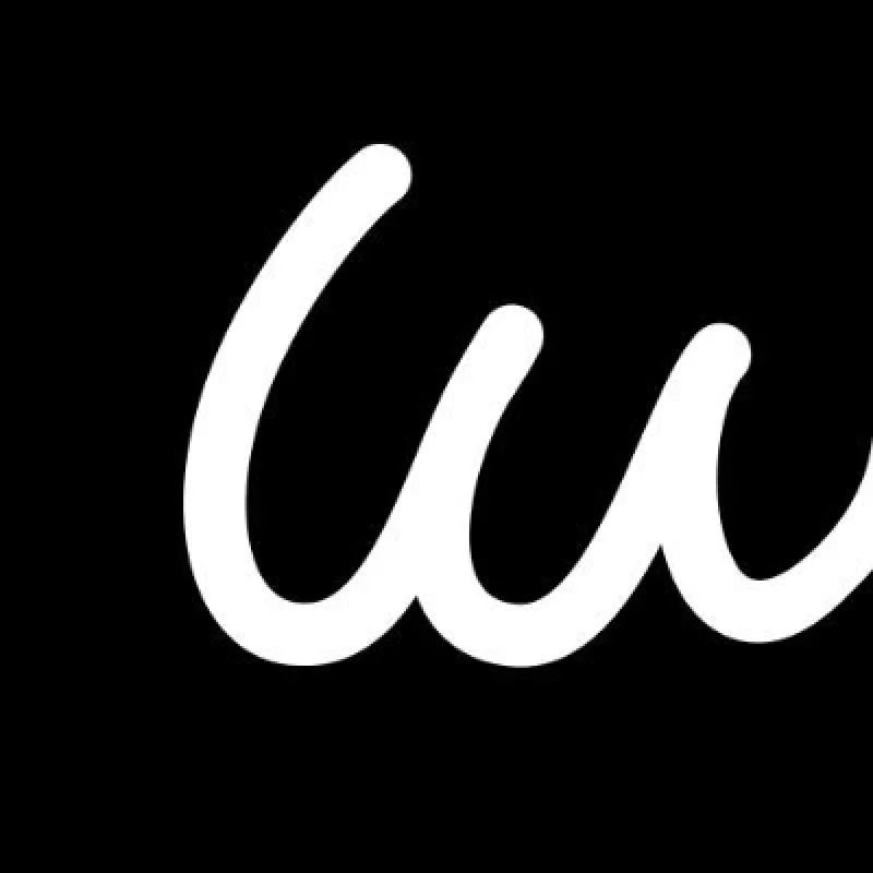 Wegic logo