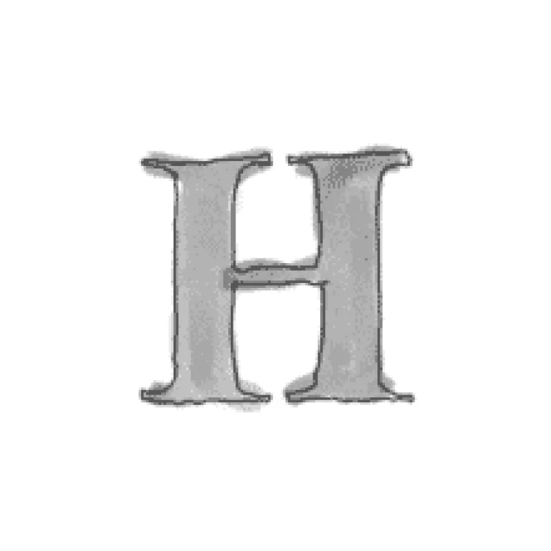Levin Nunnink logo