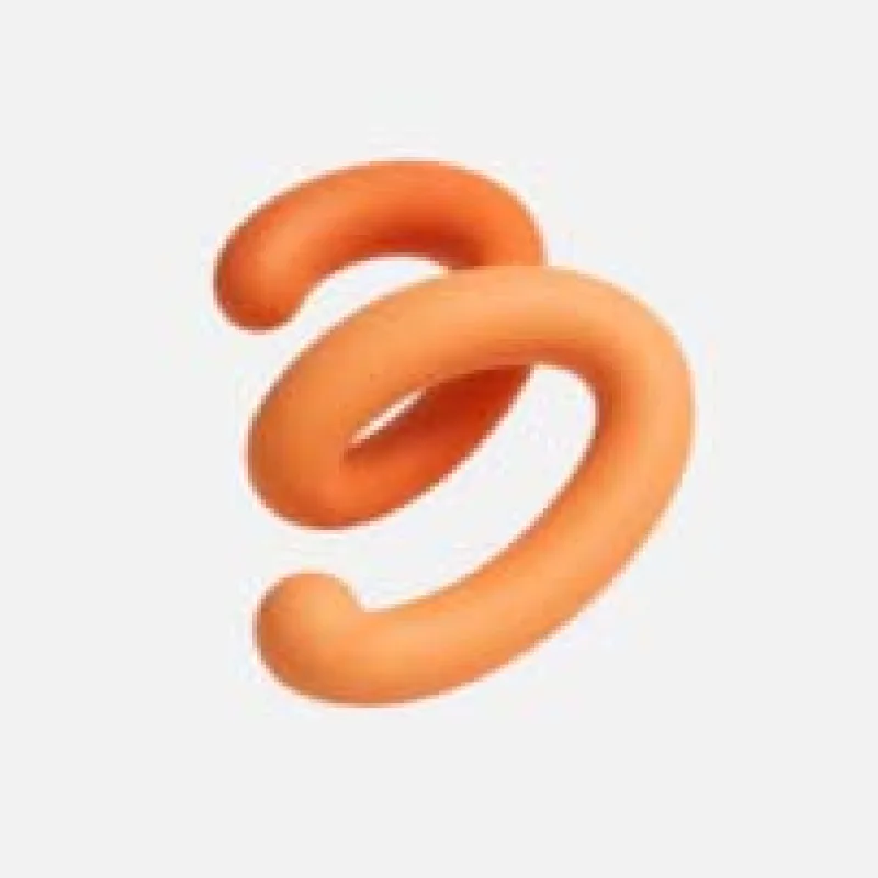 Icoon logo