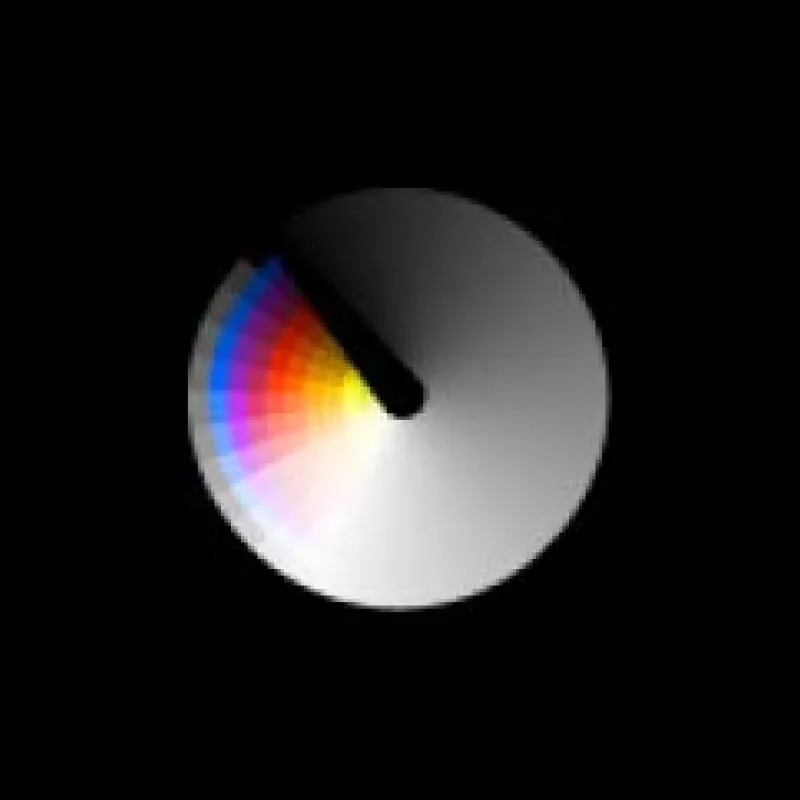 Realtime Colors logo
