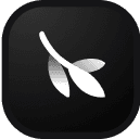 Budarina design logo